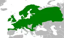 Butsnudet frøs udbredelse