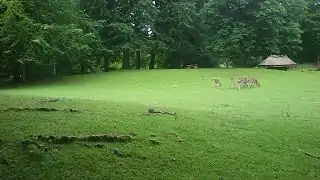 Dyrehaven i Thorskov. Her dominerer åben græsningsskov i bakket terræn.