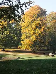 Efterår i Dyrehaven