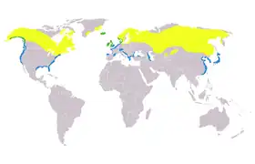 Udbredelsen af toppet skalleslugerGul: Sommer, blå: vinter, grøn: hele året