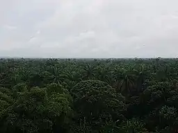 Akwa Ibom