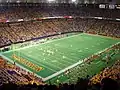 University of Minnesota Golden Gophers