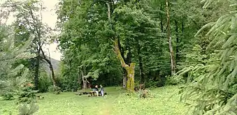 Skoler Raion. Rasteplads ved hovedvejen Lviv-Uzhhorod.