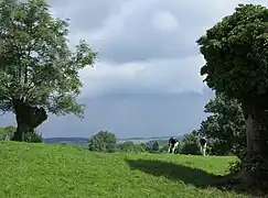 Naturområde 't Höfke