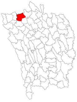 Kommunens beliggenhed i distriktet Negreşti