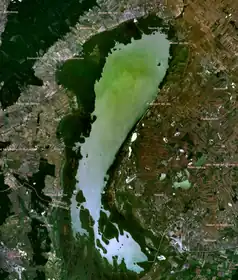 Satellitfoto af Neusiedler See