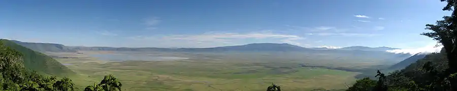 Panorama af Ngorongoro-calderaen.