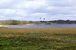 Nipgård Sø  set mod nordøst