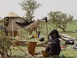 Nomadekvinde i Zinder