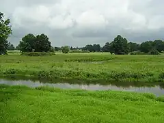 Novořecké močály Naturreservat