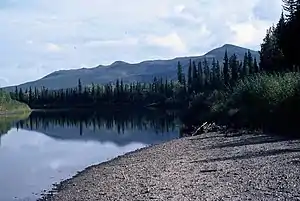 Grusbanke i Nowitna National Wildlife Refuge