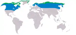 Sneuglens udbredelsesområde