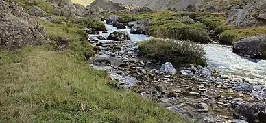 Romanche tæt ved dens udspring ved Barre des Écrins