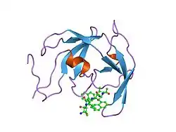 FIV-protease