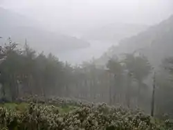 Fra naturparken Capanno di Marcarolo helt syd i provinsen