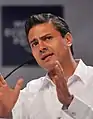 MexicoEnrique Peña Nieto, Præsident