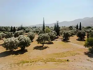 Sletten ved Marathon.