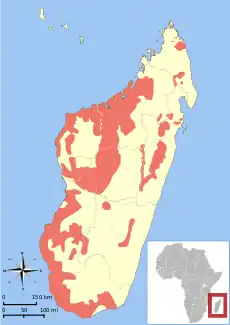 Samlet udbredelse af slægtens arter.