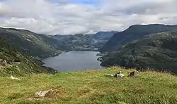 Røldalsvatnet set mod nord, fjeldsiden ved fylkesveg 520. Røldal ses for enden af søen