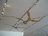 Han og hun Pteranodon sternbergiskeletter ved Royal Ontario Museum.