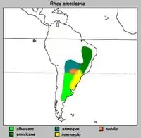 Nanduens udbredelsesområdemed underarterne indtegnet.