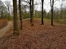 Galgebakken i Ribe Plantage