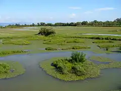 Naturreservatet ved Sočas udmunding