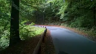 Thorsmøllevej mellem Hestehaven og Thors Skov. Det rødmalede træværk er karakteristisk for skovene omkring Aarhus.