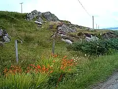 Habitat(naturaliseret)