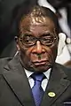 ZimbabweRobert Mugabe, Præsident og formand for den Afrikanske Union