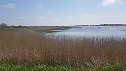 Rudbøl Søs nordlige bred set fra Rudbøl