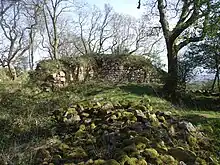 Ruins of Castell Morgraig