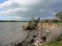 Sacramento Rivers løb gennem Windy Cove i deltaet nær udmundingen.