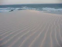 Mønstre i sandet og i vandet