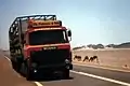 Scania 140 i Saudi Arabien i maj 1982