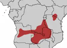 Spidstoppet turakos udbredelse