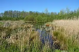 Naturområde Wätj Lönj