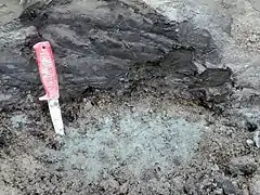 Dolken (med 11 cm skaft) er stukket ned i grønlig havbundsmoræne, som er dækket af tyndt marint sandlag, som igen er dækket af mørk leret gytje.