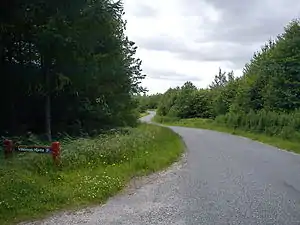 Selkærvej skærer gennem True Skov.