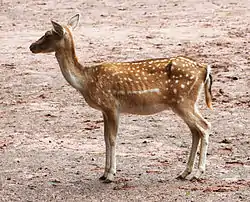 Foto: APPER, oktober 2004