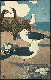 Sjøfugl/HavfuglPostkort ca. 1904