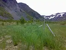 Skillefjord dalen sett fra veien