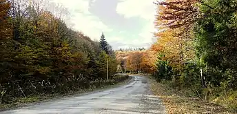 Skoler Beskiderne. Klymets Naturreservat, Drohobych Raion, Turka Raion)