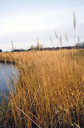 Foto: U.S. Environmental Protection Agency