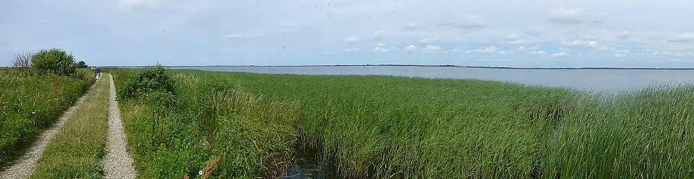 Stadil Fjord set fra Hindø