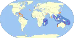 Rosenternens udbredelse. Rød = sommerkvarterer. Purpur = standfugl. Blå = vinterkvarterer.