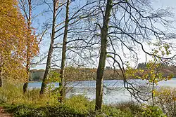Store Økssø, skovsø i Rold Skov, Danmark, 19. oktober 2008