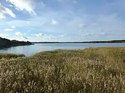 Stubbe Sø set mod vest fra fugletårnet ved østenden
