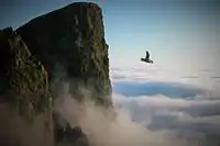 Beinisvørð, 469 m på det sydvestlige Suðuroy, er et af Færøernes mest kendte fuglefjelde med tusinder af rugende fugle.