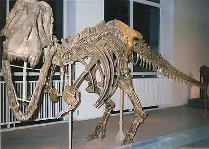 Tarbosaurus (udstillet i 1998)